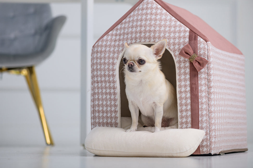 ハウス グラマー ピンク