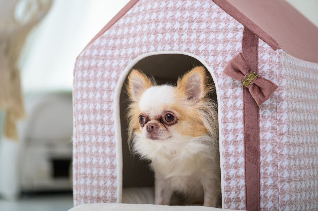 ハウス グラマー ピンク