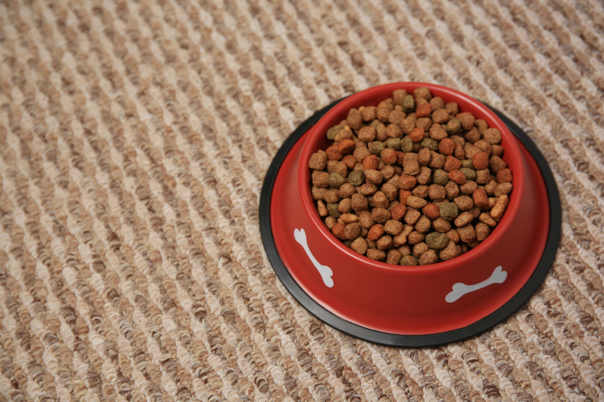 犬猫生活ドッグフード850g×3袋