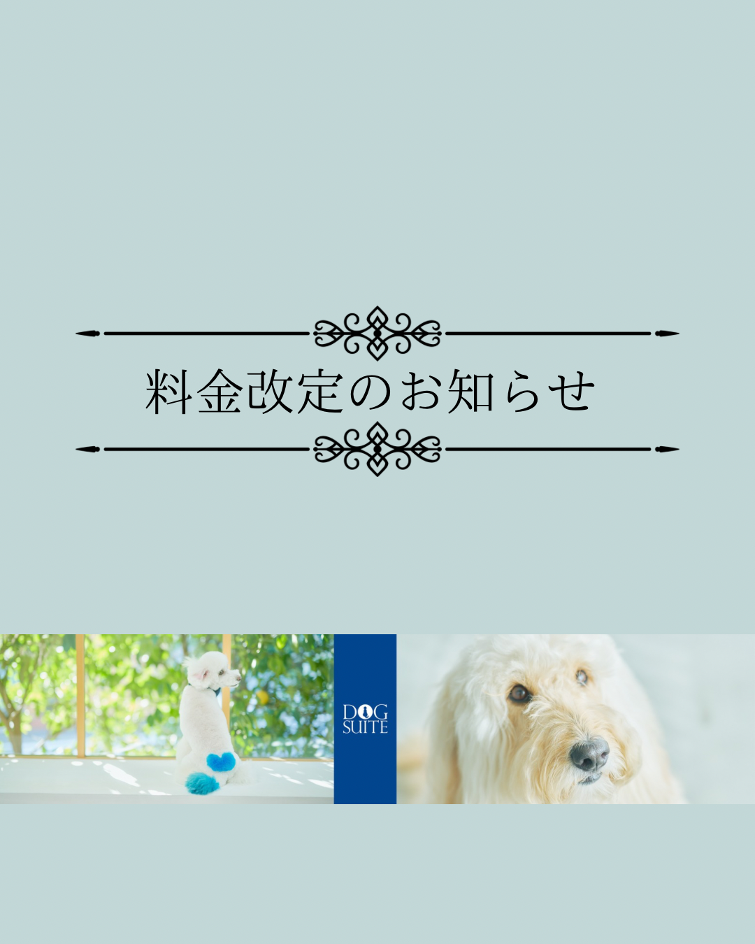 トリミング料金改定のお知らせ