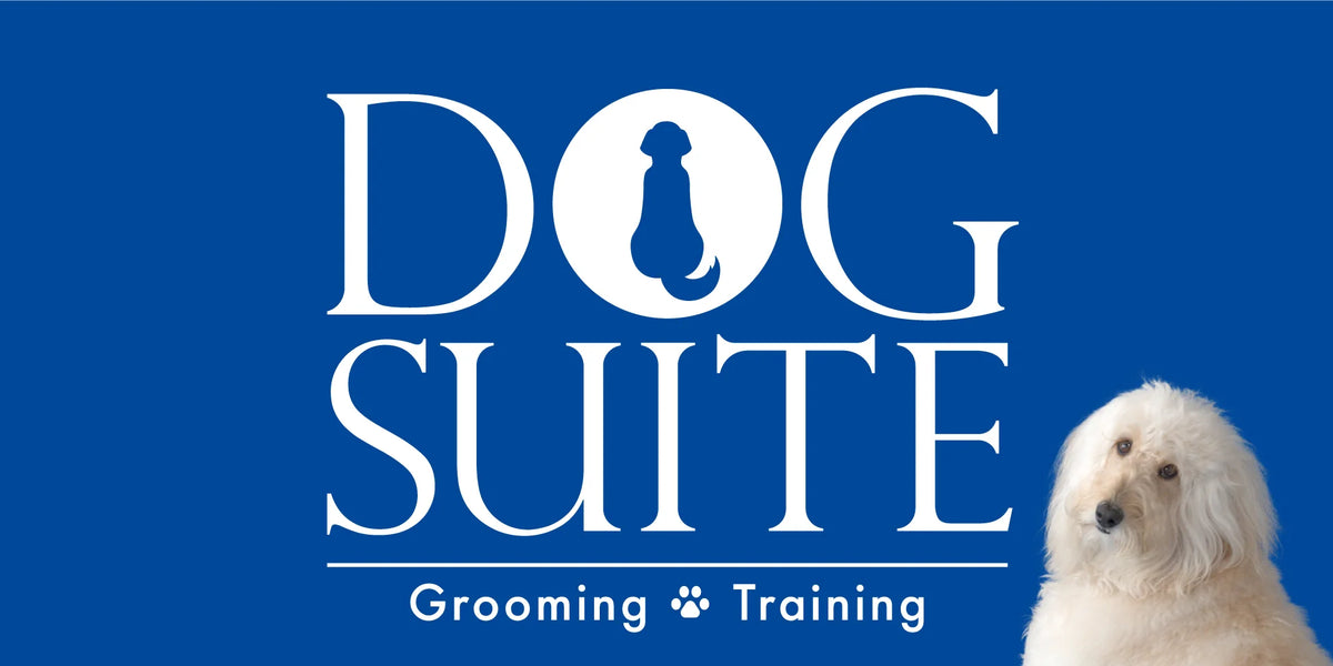 デンタルケア｜DOG SUITE（ドッグスイート）