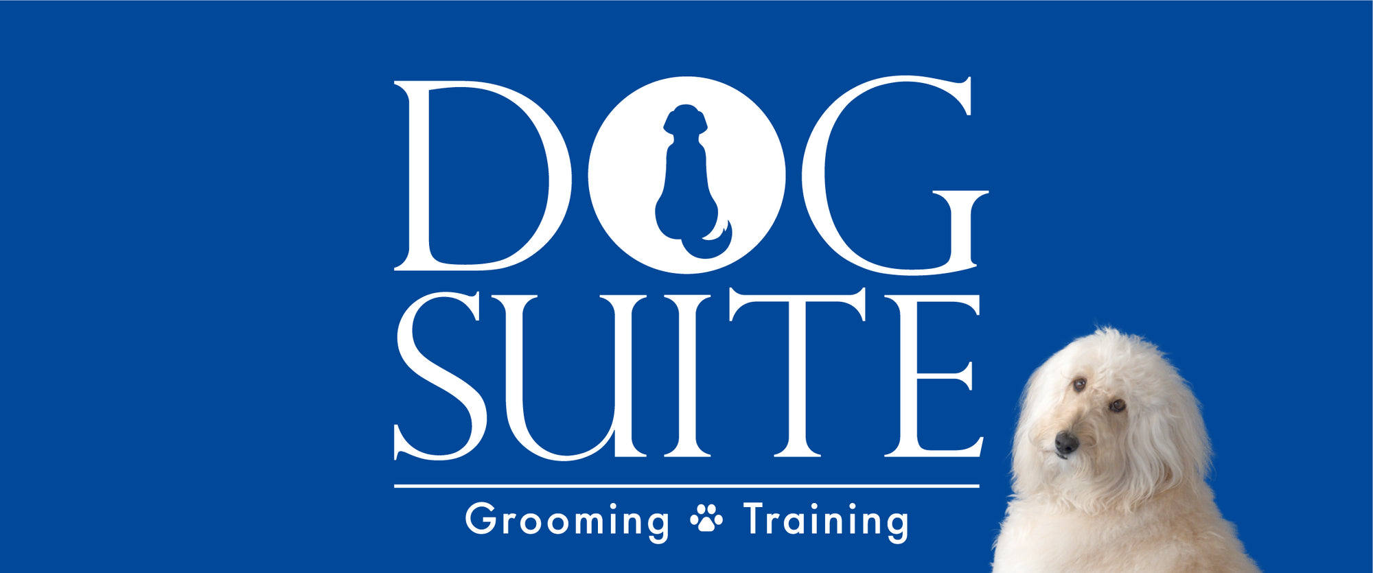 DOG SUITE Grooming Training