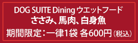 おトクにお試しキャンペーン中！2/28まで！